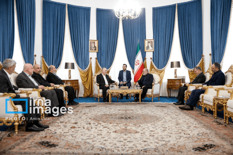 دبیرشورای عالی امنیت: حمایت ایران از مقاومت تا تداوم موفقیت در فلسطین و لبنان ادامه دارد