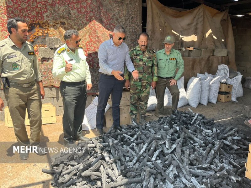 کشف ۱۳ تُن چوب بلوط و بازداشت متخلفان در فلاورجان