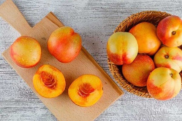 فواید شلیل و خواص درمانی و زیبایی این میوه تابستانی