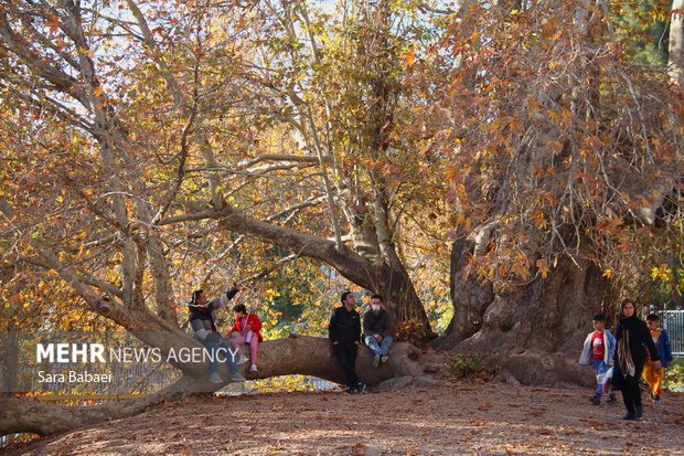 از بیستون تا طاق بستان؛ کرمانشاه در مسیر تبدیل به قطب گردشگری غرب کشور