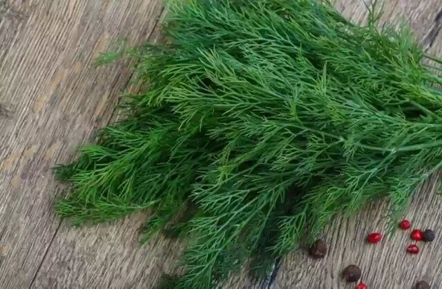 درمان طبیعی نفخ، بی‌خوابی و کلسترول