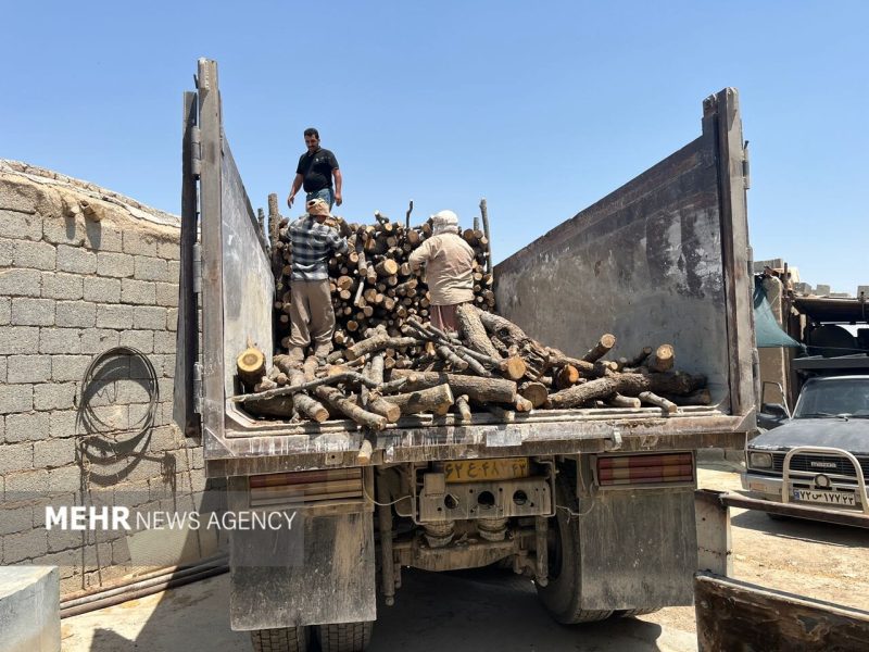 کشف ۱۳ تُن چوب بلوط و بازداشت متخلفان در فلاورجان