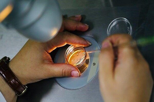 فریز تخمک؛ پلی بین زمان حال و بارداری مطمئن در آینده